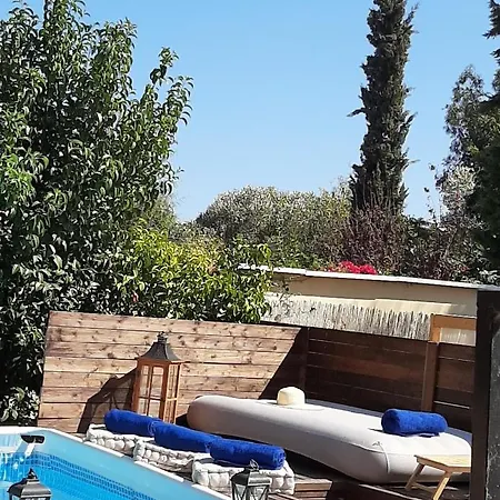 Amazing House Pigi