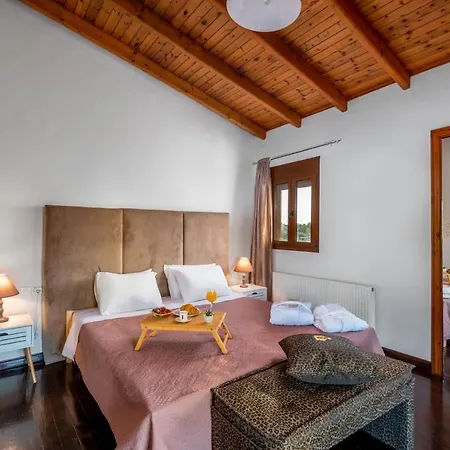 Amazing House Pigi